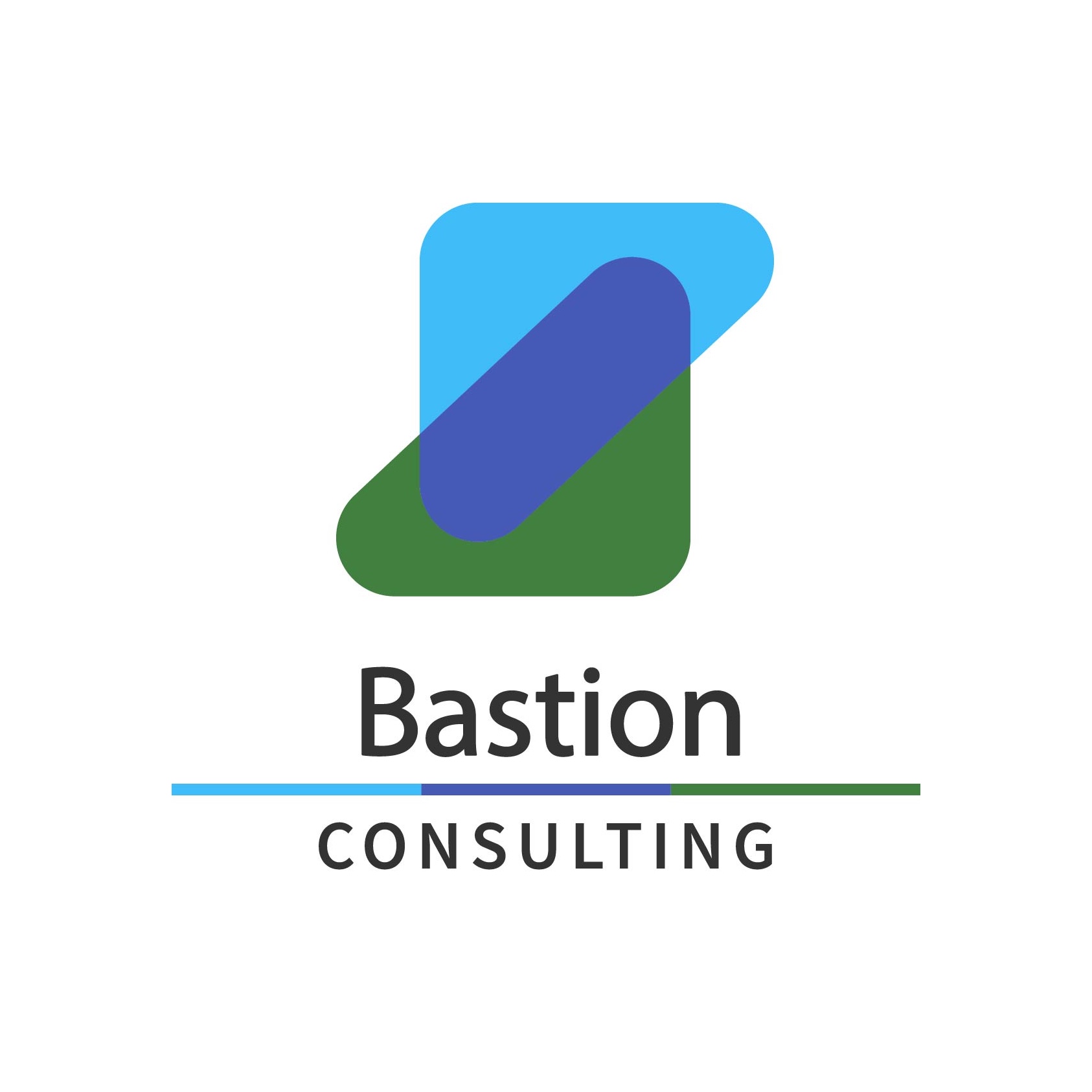 bastion consulting
